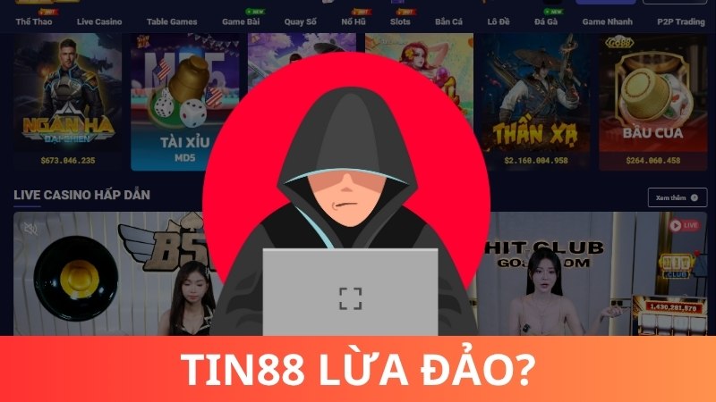 Tin đồn Tin88 lừa đảo có thật hay không?