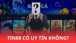 Tin88 có uy tín không? Tin88 lừa đảo có thật không?